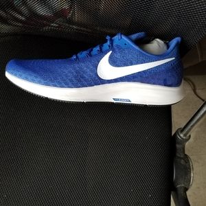 Nike Pegasus running